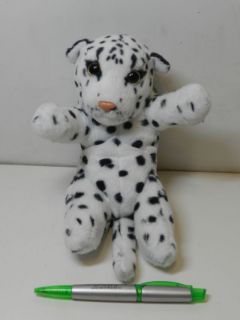 Obrázek z Sněžný leopard na zádech plyš 20cm (130/karton) 